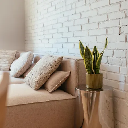 Newly Renovated Stylish Eixample - Great Location